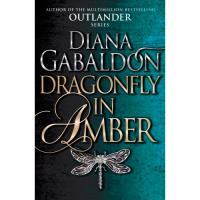 Dragonfly in Amber