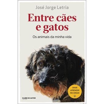 Entre Cães e Gatos