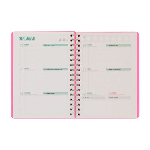 Agenda Semanal 2024 Mr. Wonderful Pequena Espiral - Vou Conquistar -  Papelaria - Agendas 12 Meses - Compra Livros na