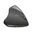 Rato Vertical Sem Fios Varo Ergonomic Trust_1