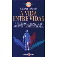 A Vida Entre Vidas