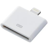 Go Travel Adaptador Lightning 30 pinos