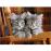 Puzzle Kittens (500 Peças)_1
