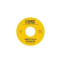I Wanted to Tell You You Said - Single Vinil 7''