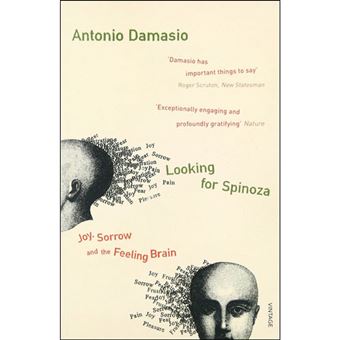 Looking for Spinoza