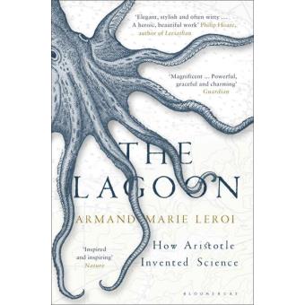 The Lagoon