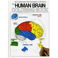 The Human Brain Coloring Book