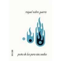 Postes de Luz para Cães Vadios