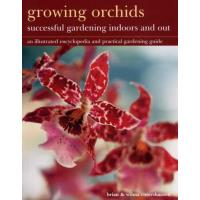 Growing Orchids