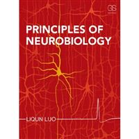 Principles of neurobiology