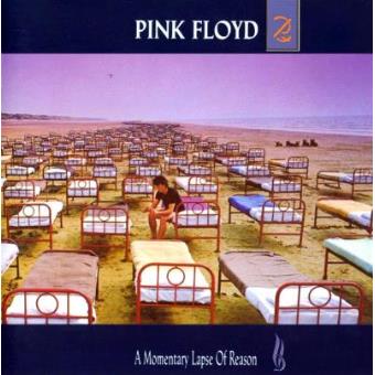 Pink Floyd - A Momentary Lapse Of Reason - Framed Album Cover