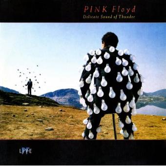 Pink Floyd - Delicate Sound Of Thunder - Framed Album Cover