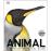 Animal: The Definitive Visual Guide_0