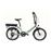 Bicicleta Eléctrica Wayscral Takeaway E100 - Verde_0