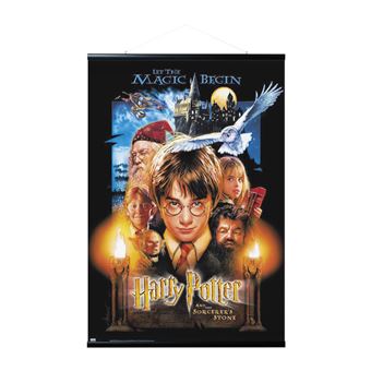 Poster Harry Potter - Spells & Charms