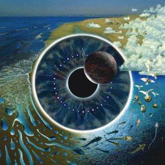 Pink Floyd - Pulse - Framed Album Cover