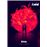 Ema - DVD_0