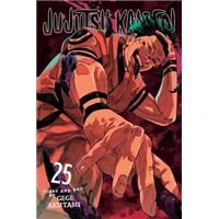 Jujutsu Kaisen - Volume 25