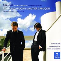 Brahms: Double Concerto / Clarinet Quintet