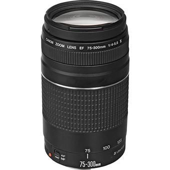 Canon Objetiva EF 75-300mm f/4-5.6 III