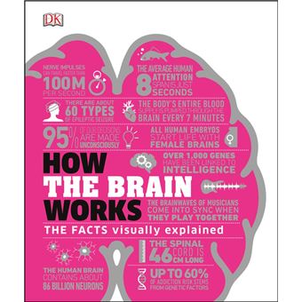 How the Brain Works