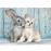 Puzzle Cat & Bunny (500 Peças)_0