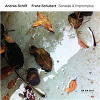 Schubert: Sonatas & Impromptus - 2CD