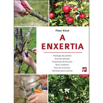 A Enxertia