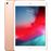 Apple iPad Mini 7.9'' Wi-Fi - 256GB - Dourado 2019_0
