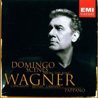 Wagner-scenes From The Ring' (imp)