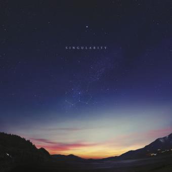 Singularity - 2LP 12''