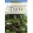 The Concise Guide to Trees_0