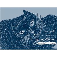 Amélia Muge : todos os Livros, Discos | fnac