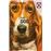 How it Works: The Dog_0