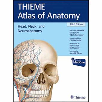 Head Neck Neuroanatomy 3rd Edition - Thieme Atlas Of Anatomy - Brochado ...