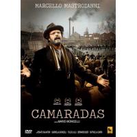 Camaradas