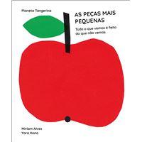As Peças Mais Pequenas Tudo o que Vemos é feito do que Não Vemos