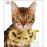 The Cat Encyclopedia_0