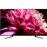 Smart TV Android Sony UHD 4K HDR KD55XG9505BAEP 140cm_0