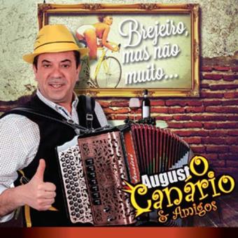 Brejeiro Mas Não Muito