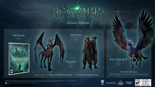 Hogwarts Legacy: Deluxe Edition - PS4 - Compra jogos online na