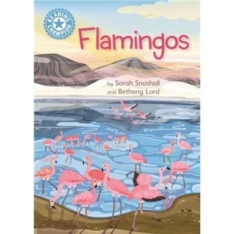 Reading Champion - Flamingos - 1