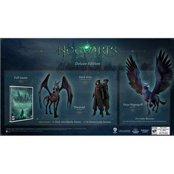 Jogo Playstation 5 Hogwarts Legacy Deluxe Br - Ação