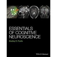 Essentials of Cognitive Neuroscience