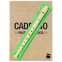 Pack Flauta de Bisel Hohner B9508 C + Caderno Pauta de Música