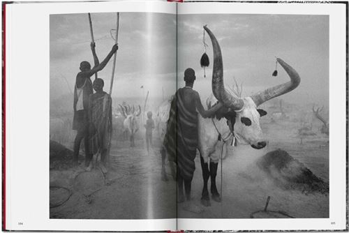 Sebastião Salgado - Genesis - Cartonado - Taschen, Salgado