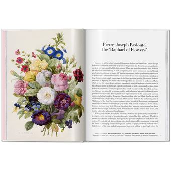 Pierre-Joseph Redout、The Roses46、希少画集画 1541-1.jpg