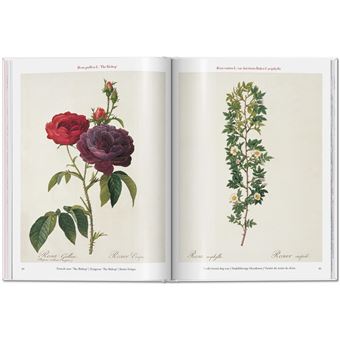 Pierre-Joseph Redouté - Roses: The Complete Plates 1817 - 1824