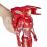 Titan Power FX Pack Iron Man 30cm - Hasbro_2