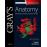 Gray's Anatomy: The Anatomical Basis of Clinical Practice_0